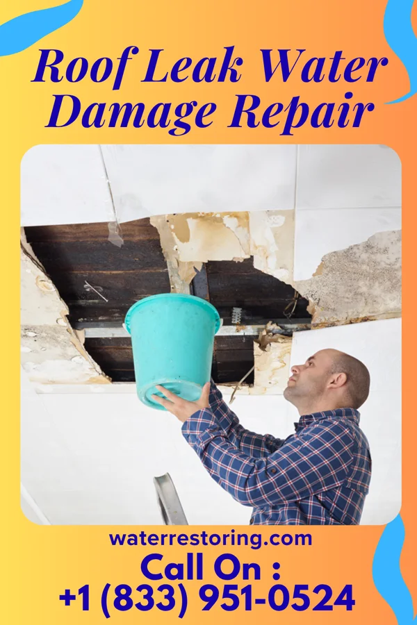 Roof Leak Water Damage Repair in Shubert, NE