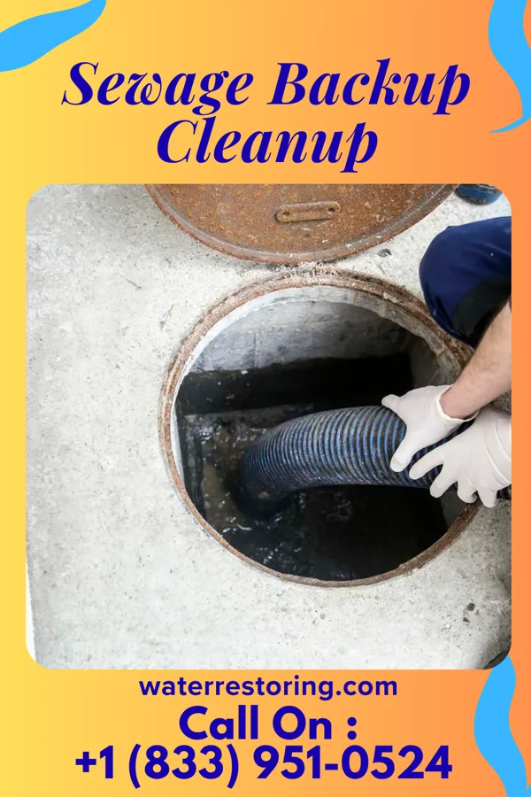 Sewage Backup Cleanup in Shubert, NE